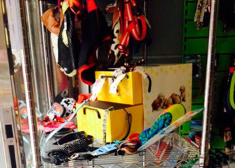 Clínica Veterinària Quiros correas para perro