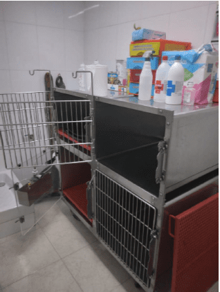 Clínica Veterinària Quiros clínica veterianaria